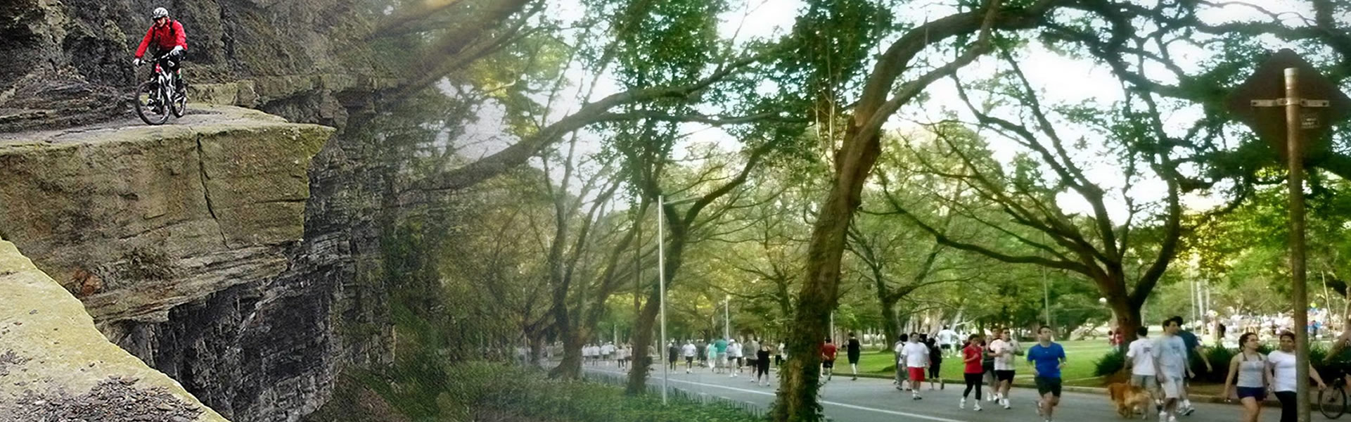 Seguros de Vida, Automóveis, Motos, Viagens...